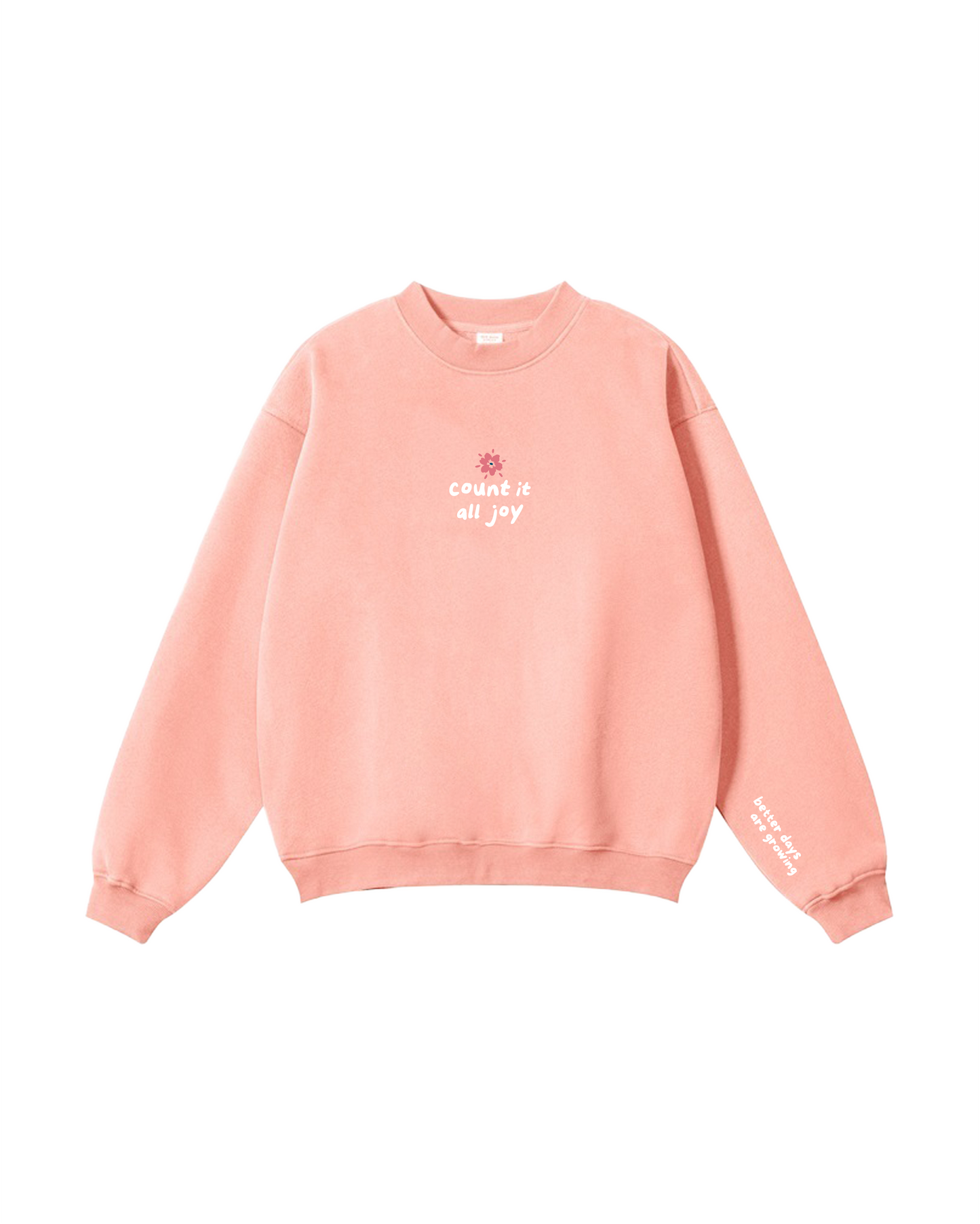 Count It All Joy Crewneck