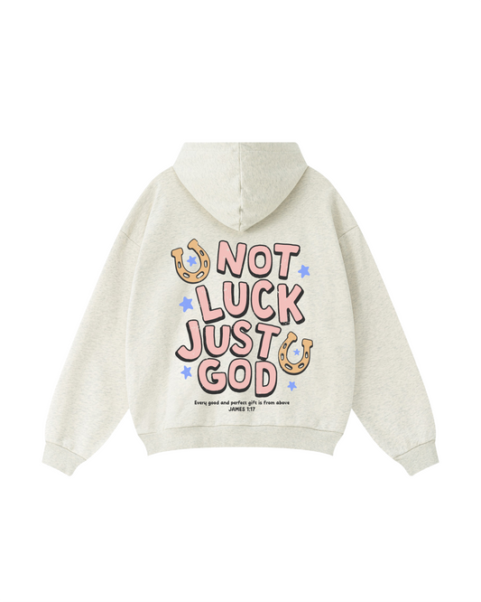 Not Luck Just God James 1:17 Hoodie