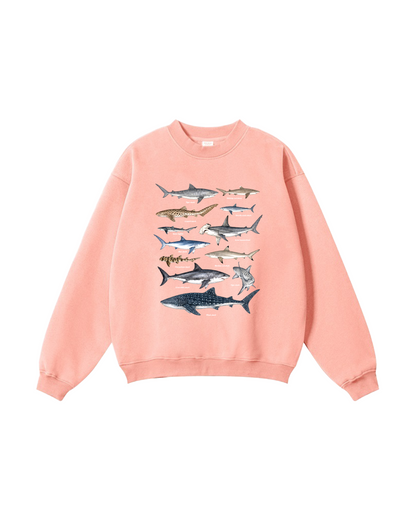 Shark Species Crewneck