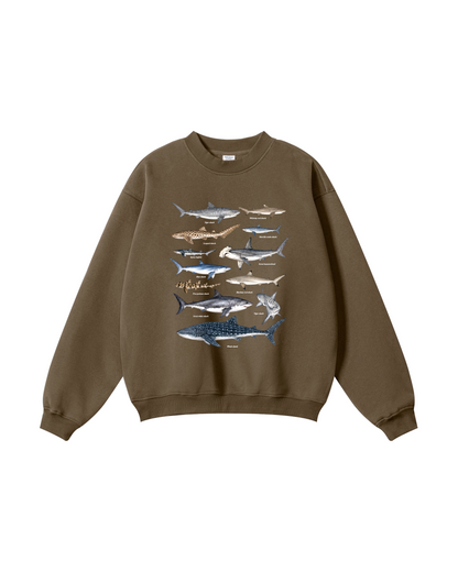 Shark Species Crewneck