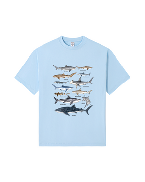 Powder Blue