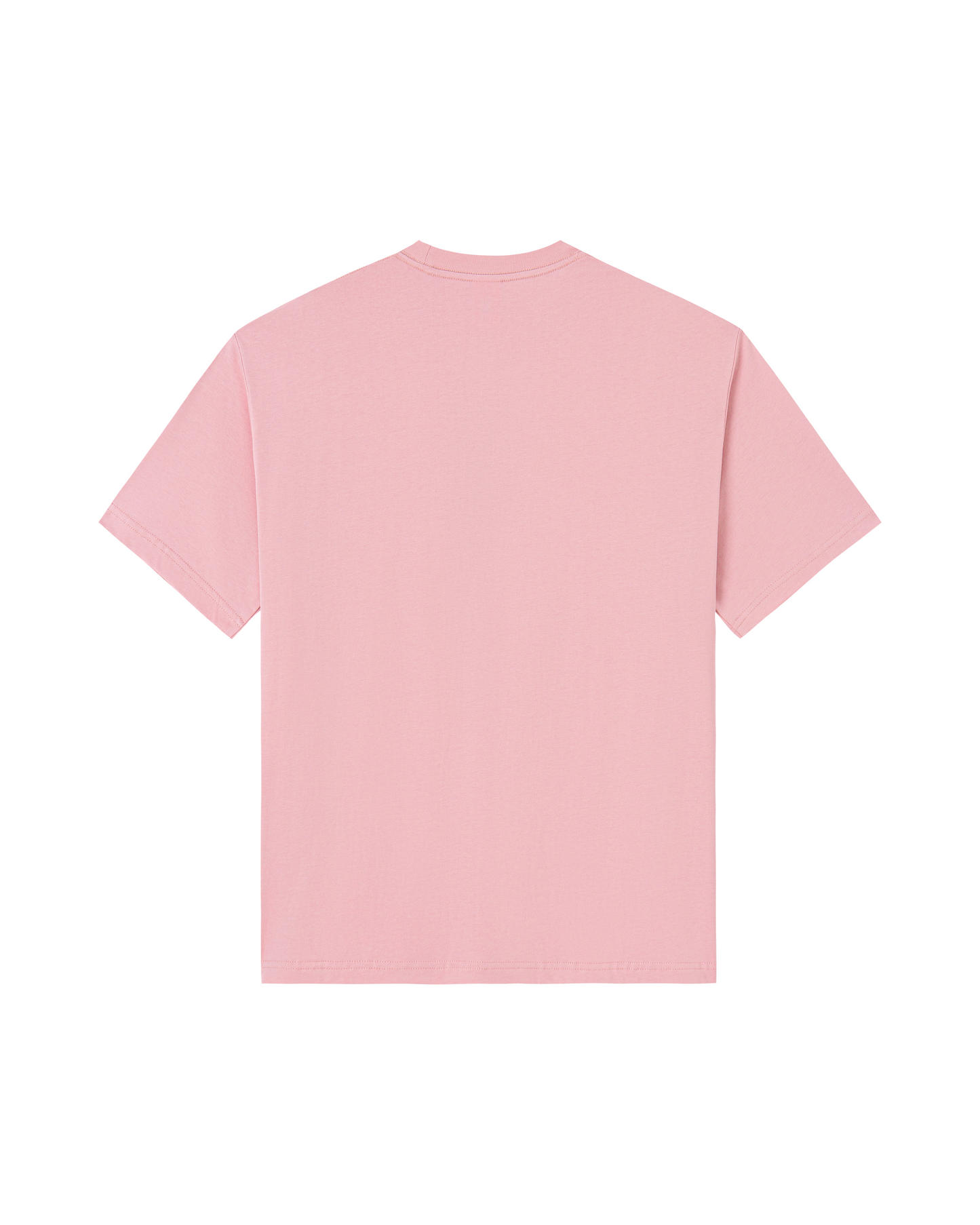 Shark Species Tee