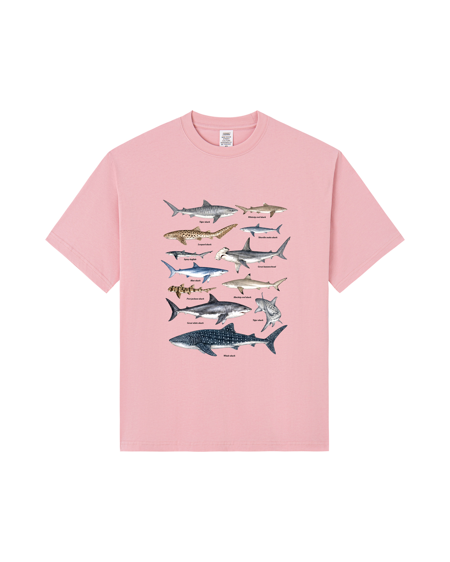 Shark Species Tee