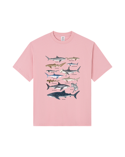 Shark Species Tee