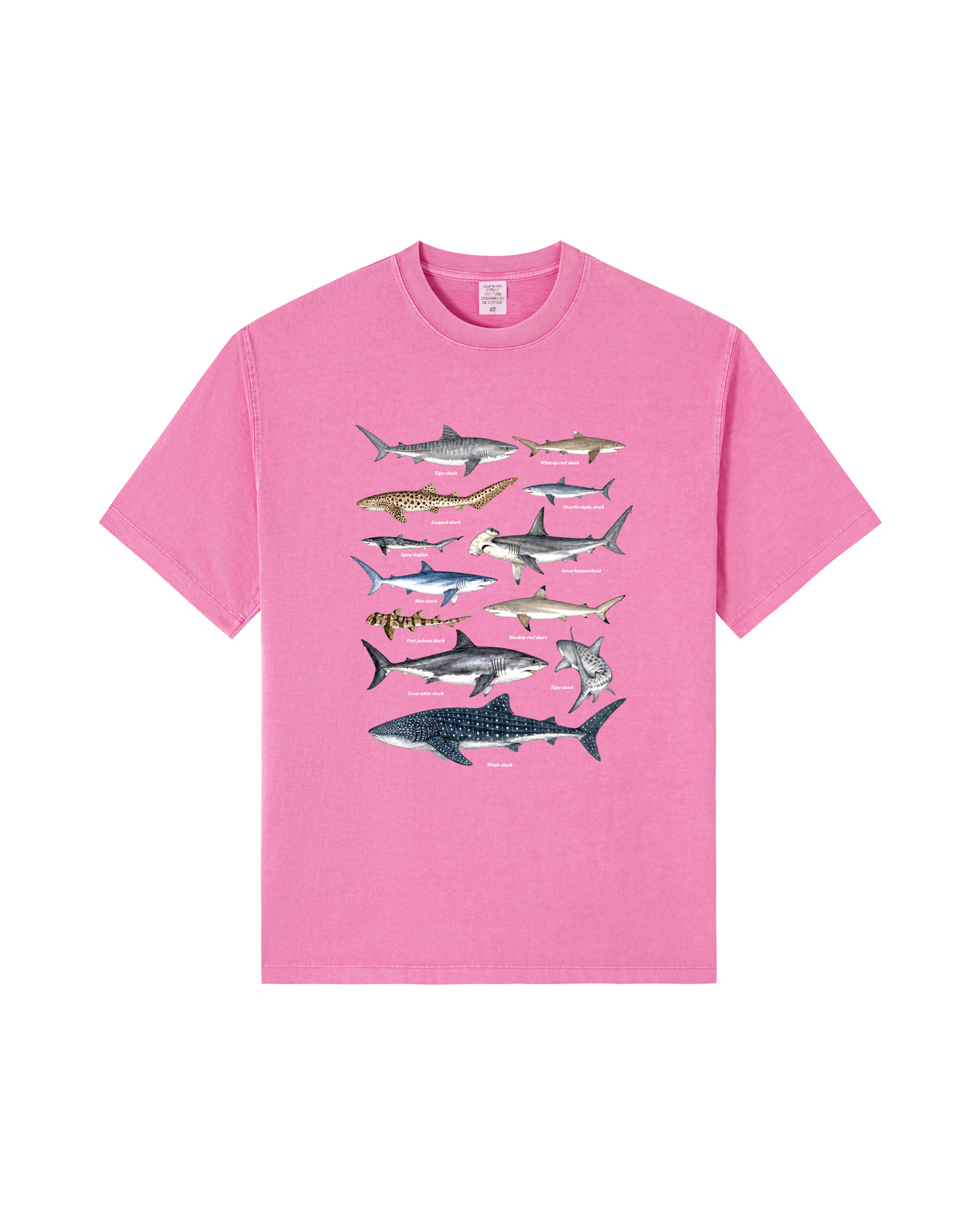 Shark Species Tee