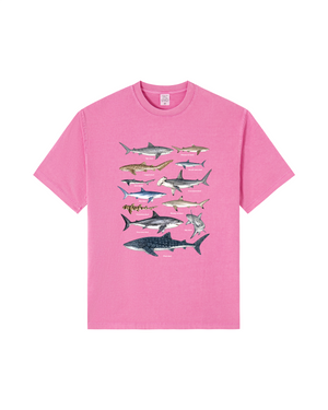 Bubblegum Pink