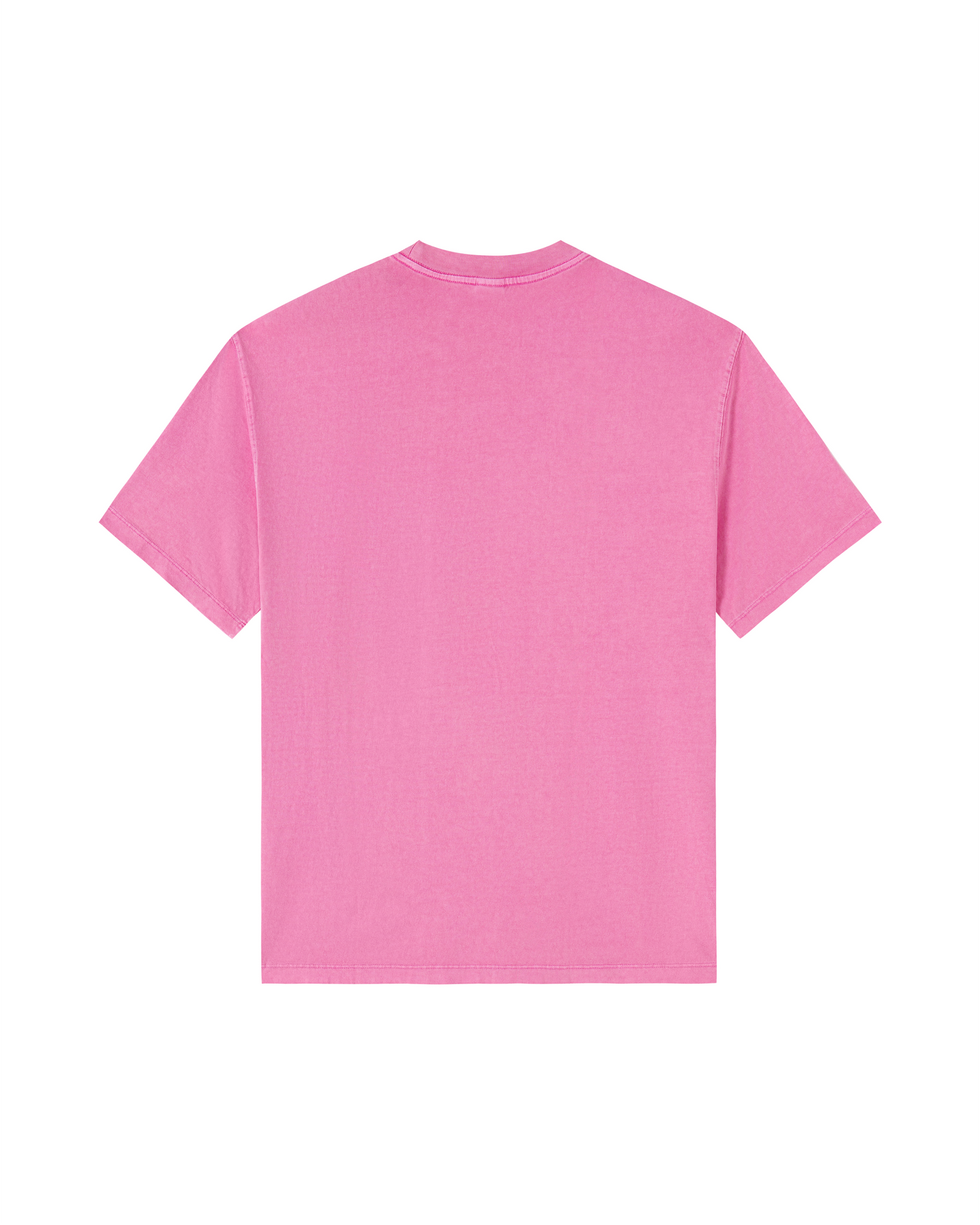 Shark Species Tee