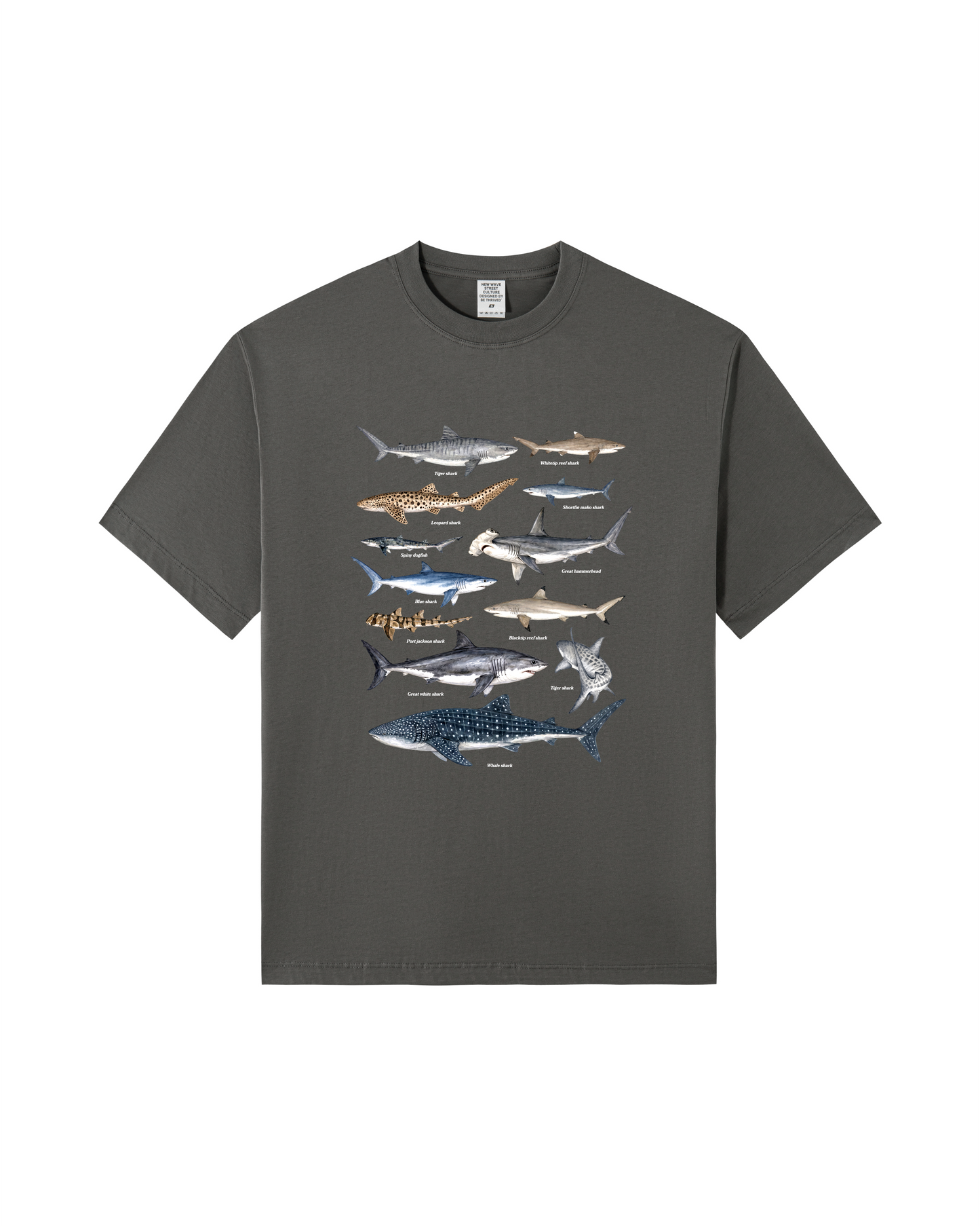 Shark Species Tee