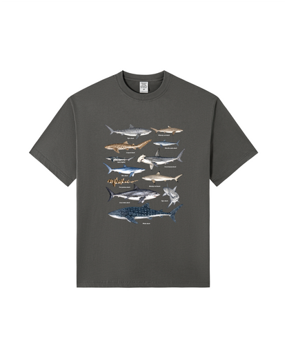 Shark Species Tee