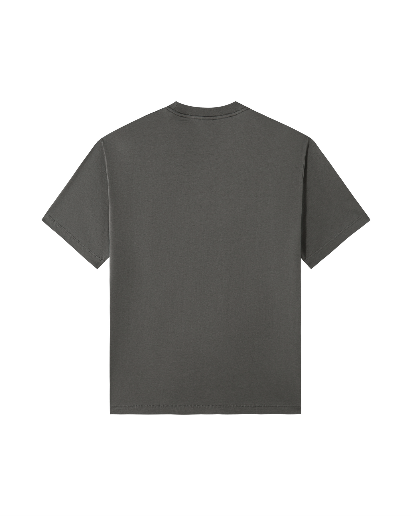 Shark Species Tee