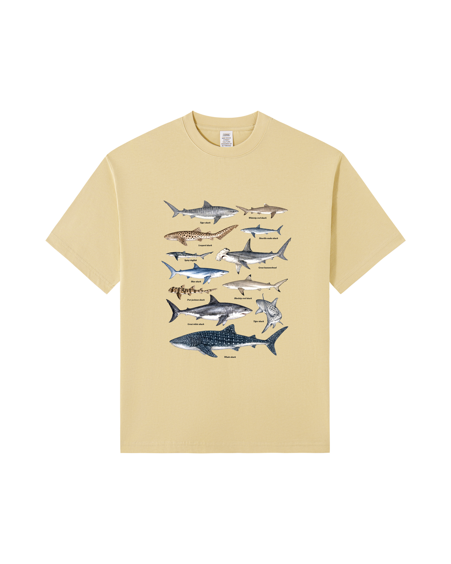 Shark Species Tee