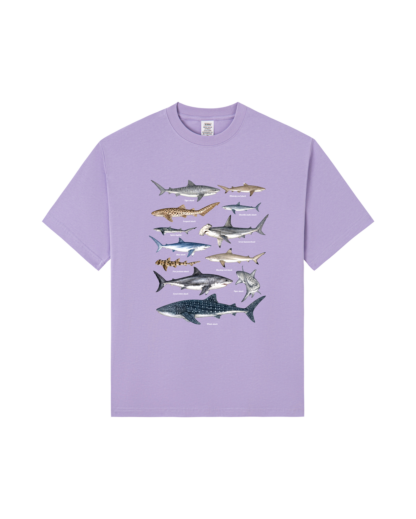 Shark Species Tee