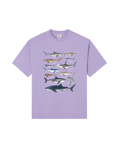 Shark Species Tee