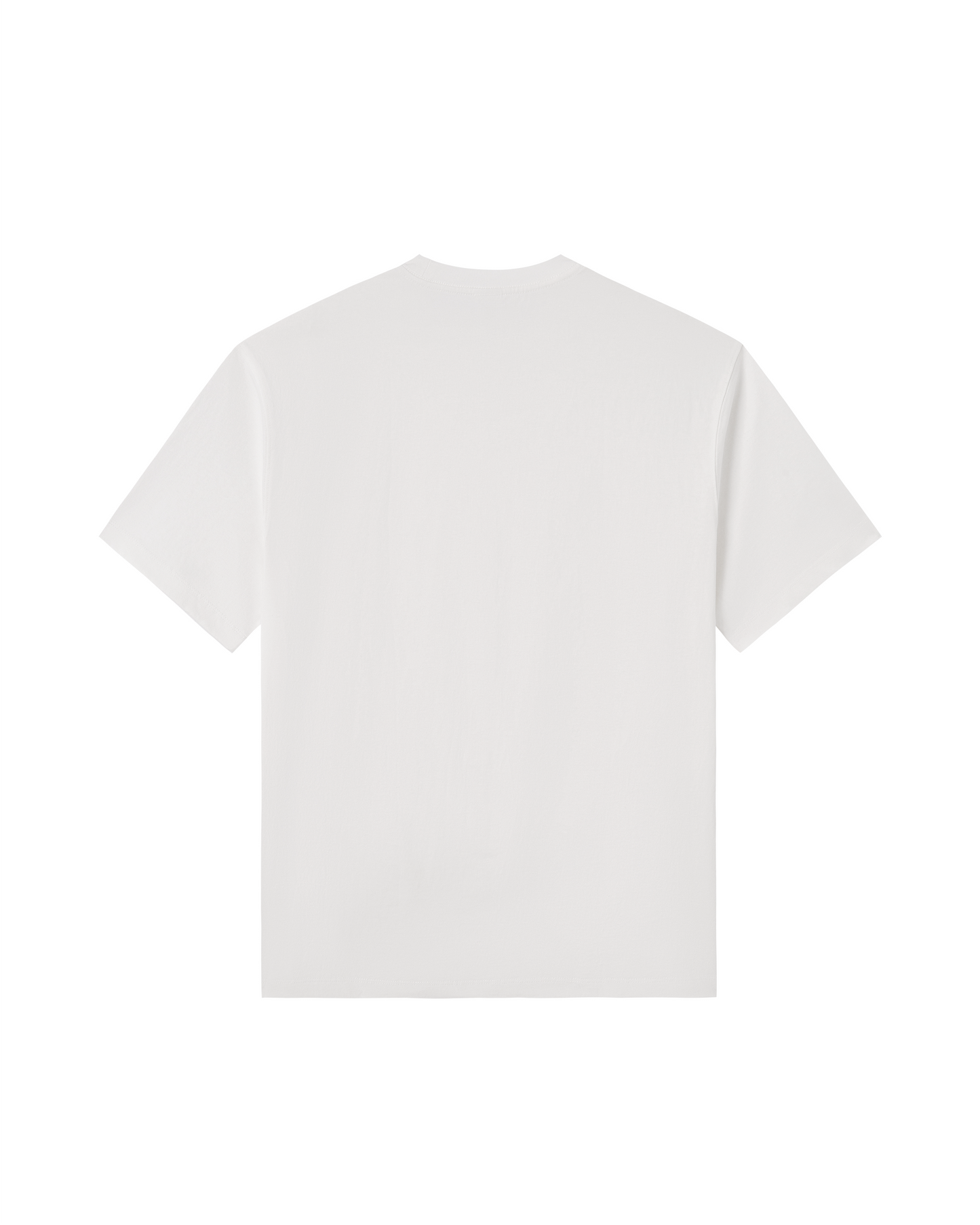 Shark Species Tee