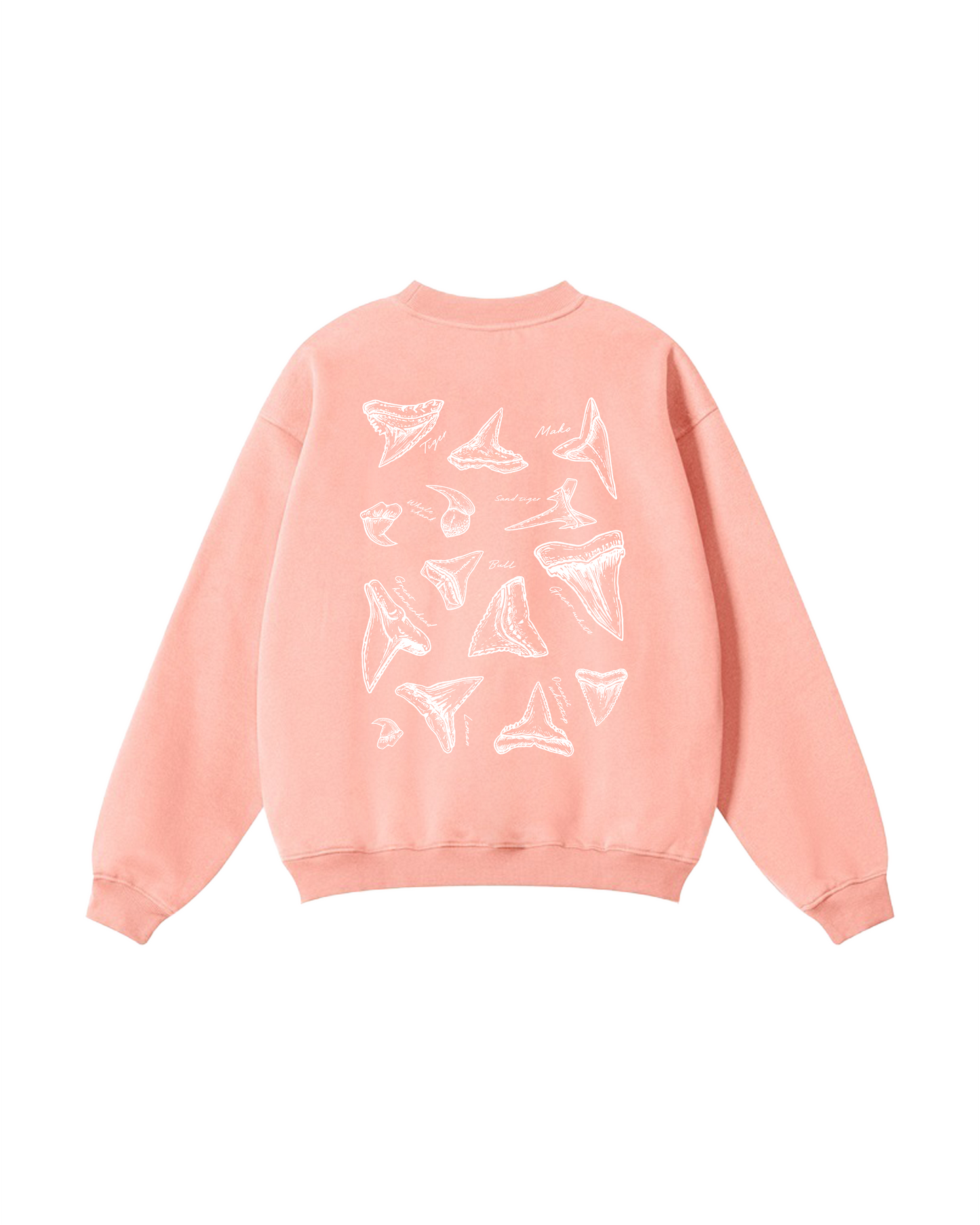 Shark Tooth Sketch Crewneck