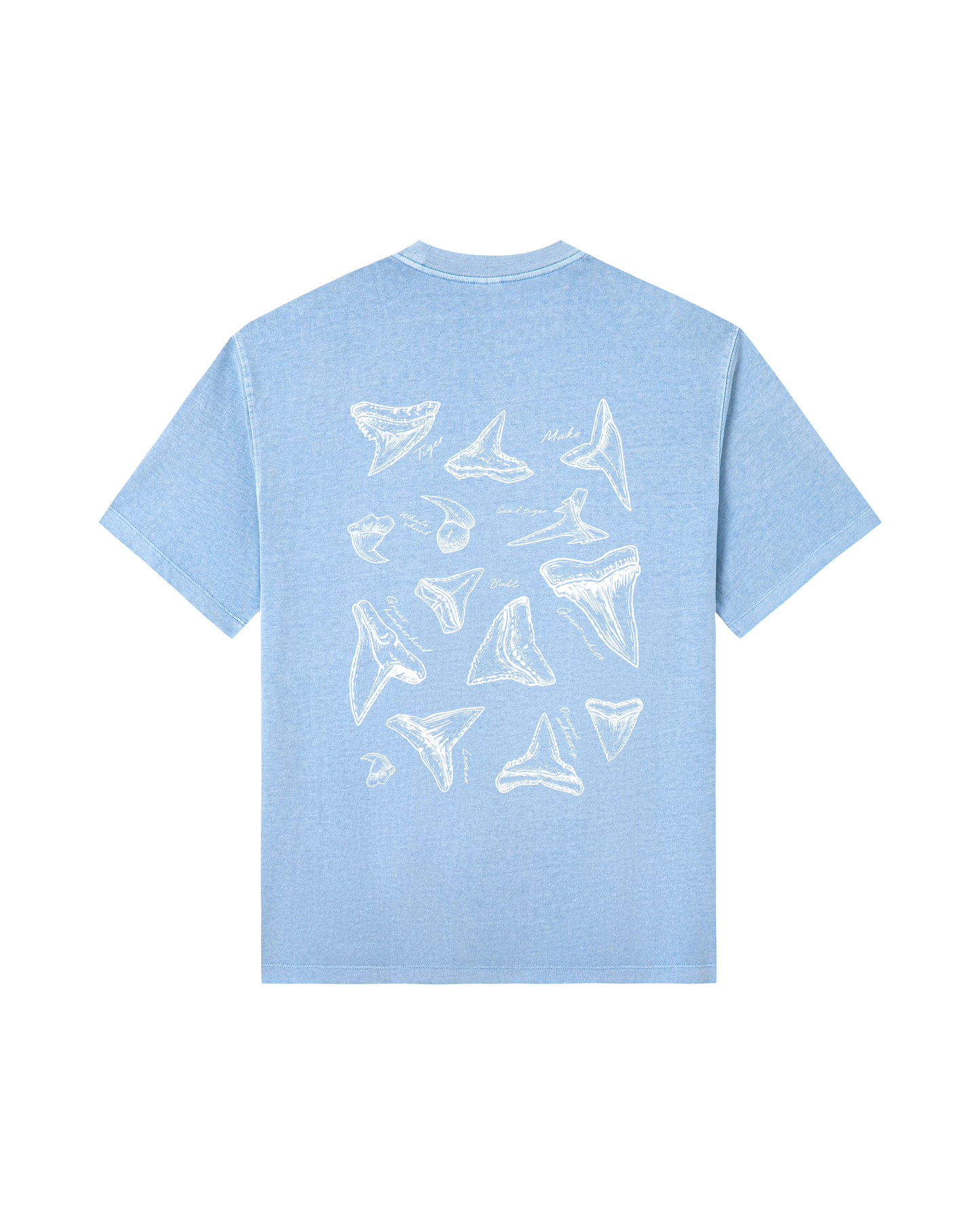 Shark Tooth Sketch Tee