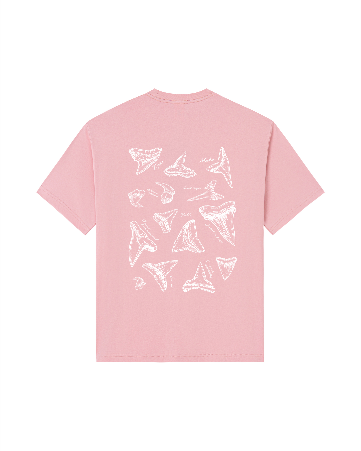 Shark Tooth Sketch Tee