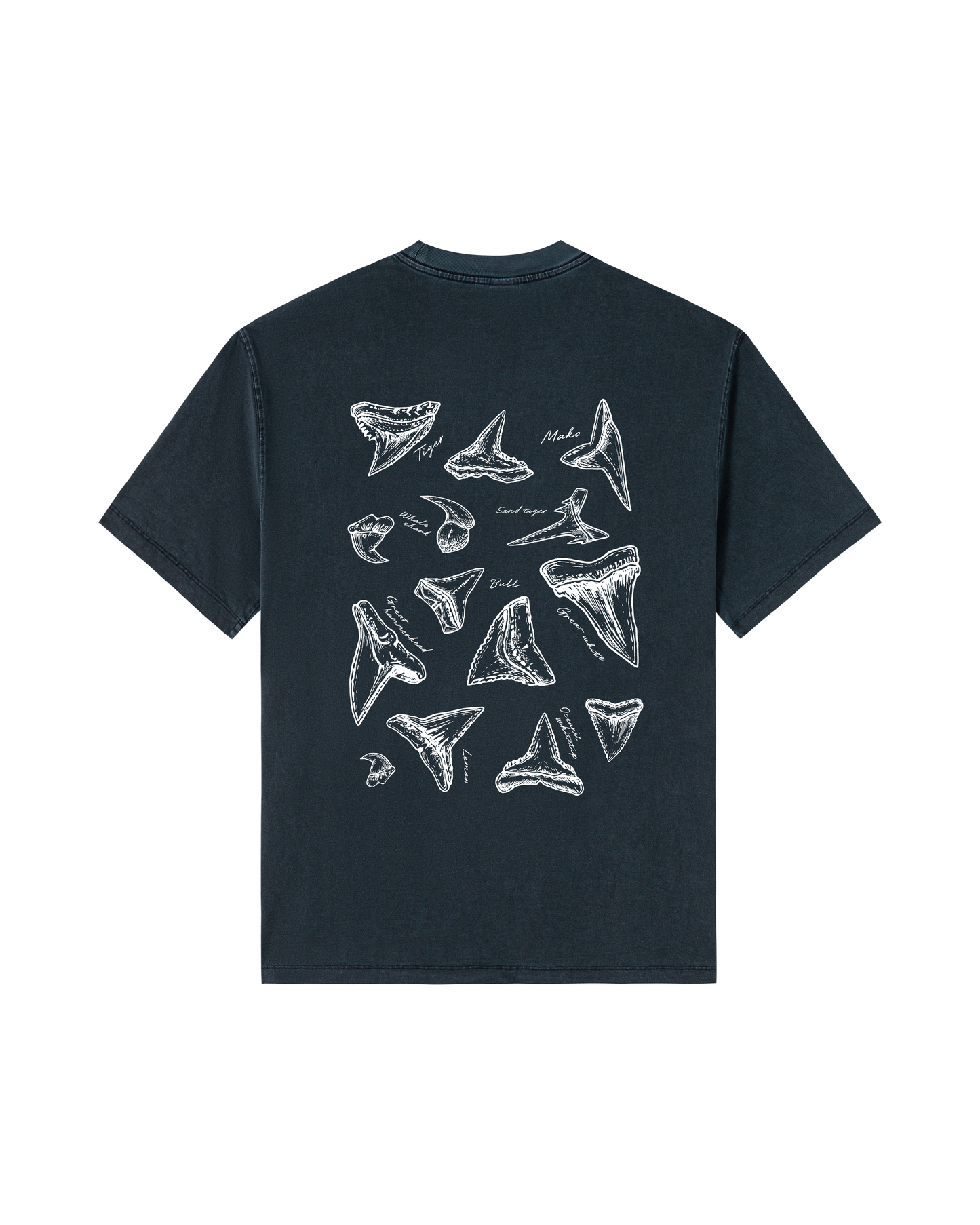 Shark Tooth Sketch Tee