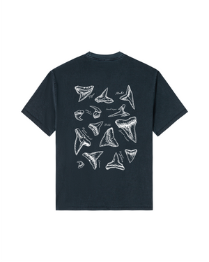Midnight Navy
