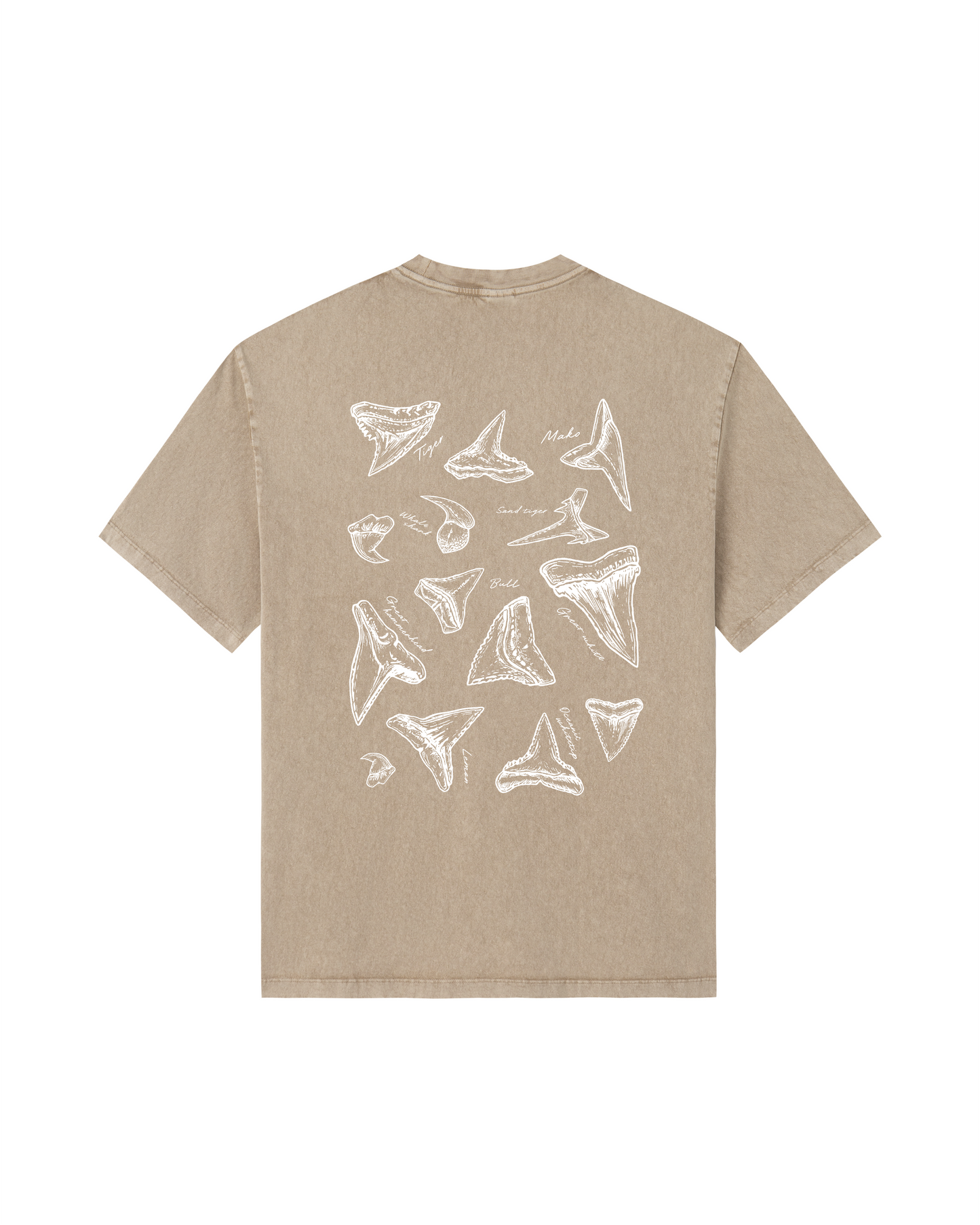 Shark Tooth Sketch Tee