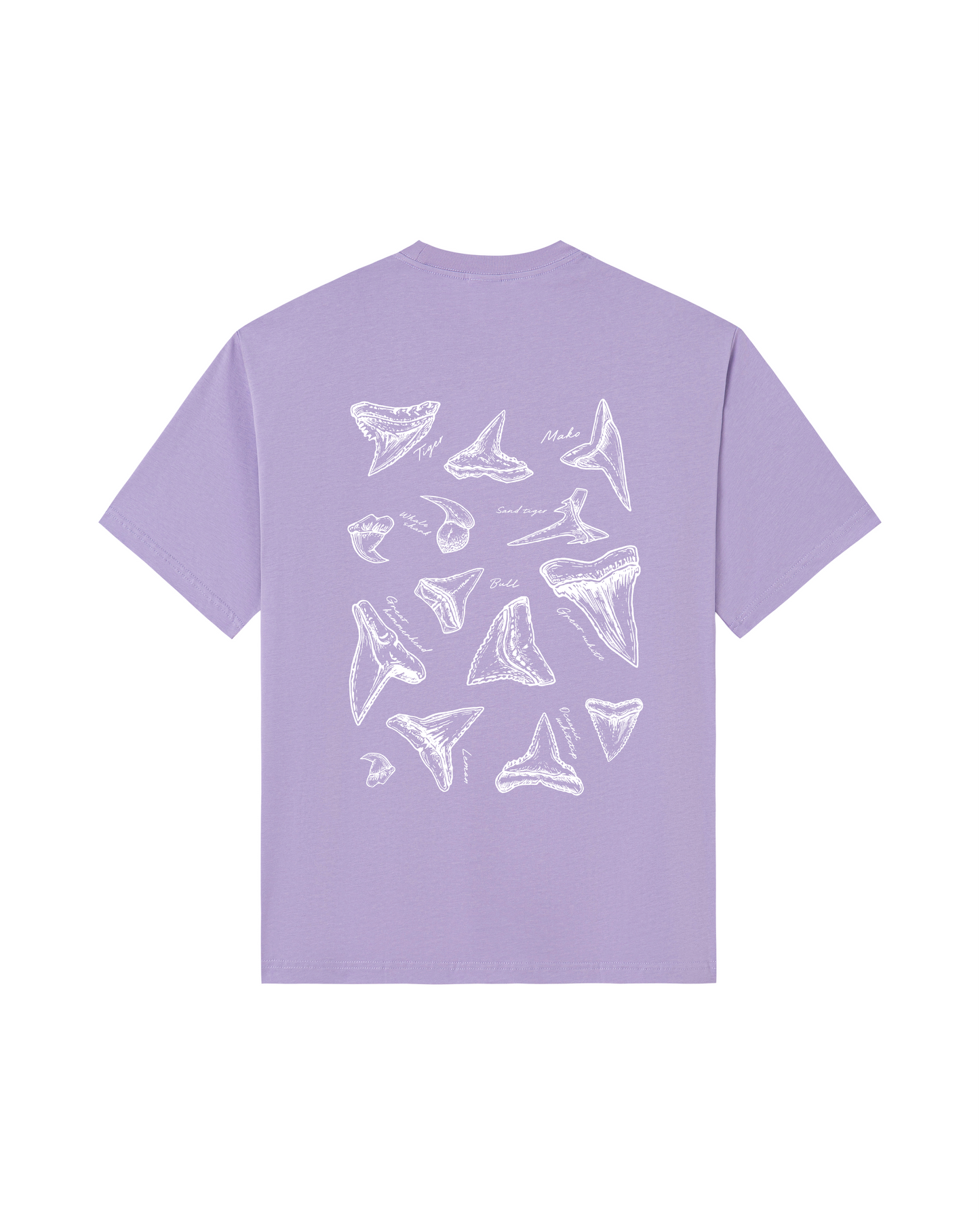 Shark Tooth Sketch Tee