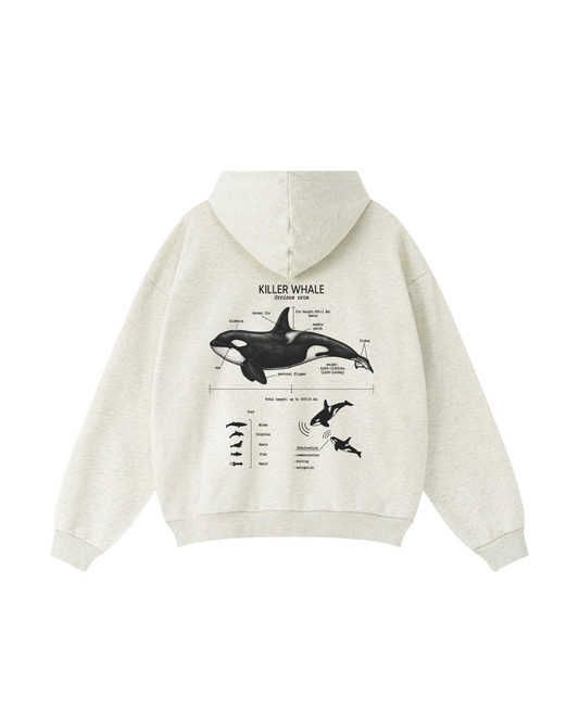 Vintage Whale Anatomy Hoodie