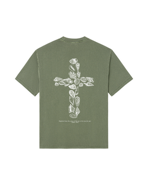Olive Grove