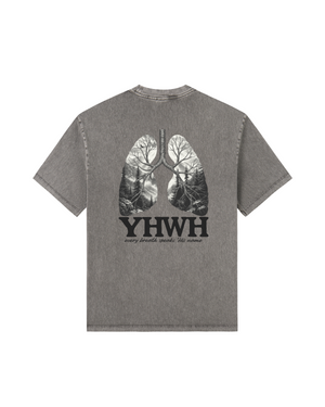 Washed Gray