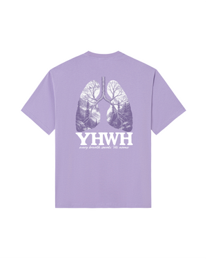 Lavender Dream