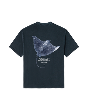 Midnight Navy