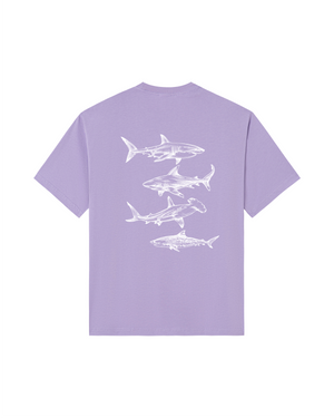 Soft Lavender