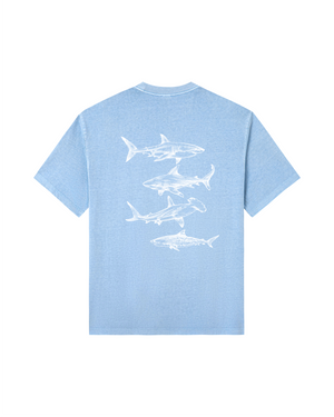 Powder Blue