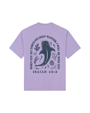 Lavender Dream